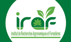 Institut de Recherche Agronomiques et Forestières
